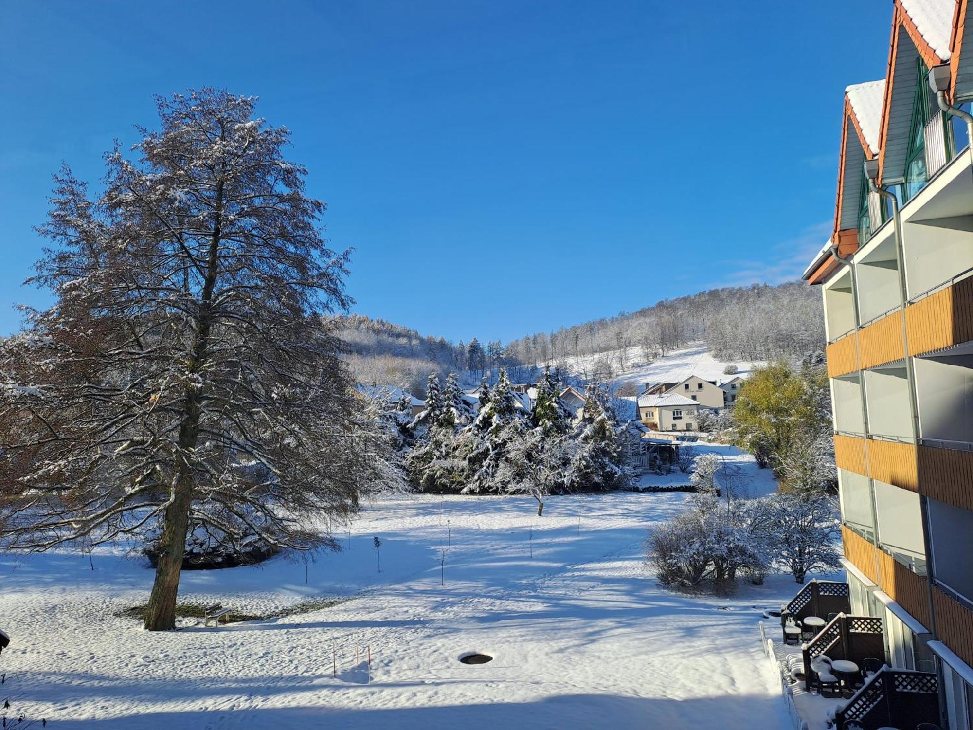 Waldhotel Baerenstein Хорн-Бад-Майнберг Экстерьер фото